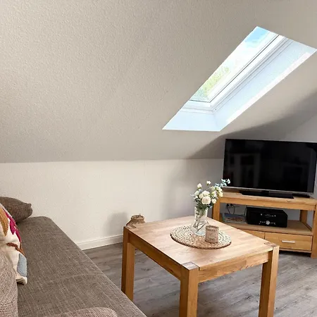 Strandrobbe-4 Cuxhaven